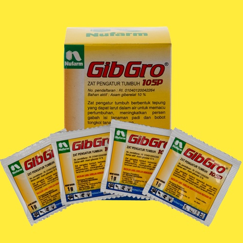 GIBGRO 10SP 100GR